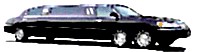 P 604 XXL